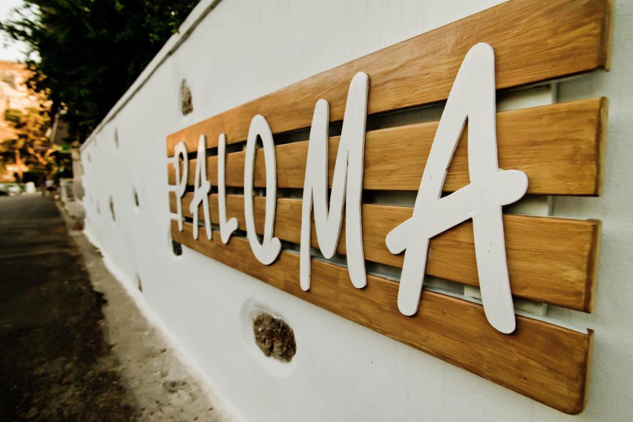 Paloma Luxury Studios Panormos  Exteriör bild