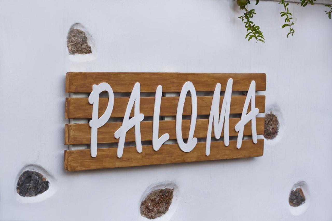 Paloma Luxury Studios Panormos  Exteriör bild