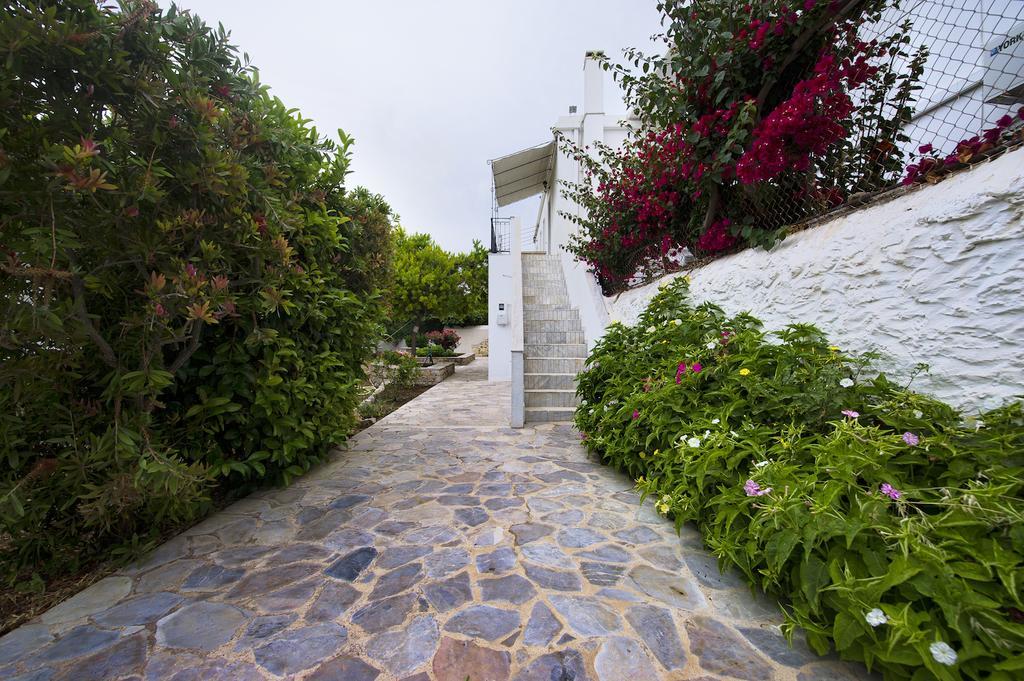 Paloma Luxury Studios Panormos  Exteriör bild